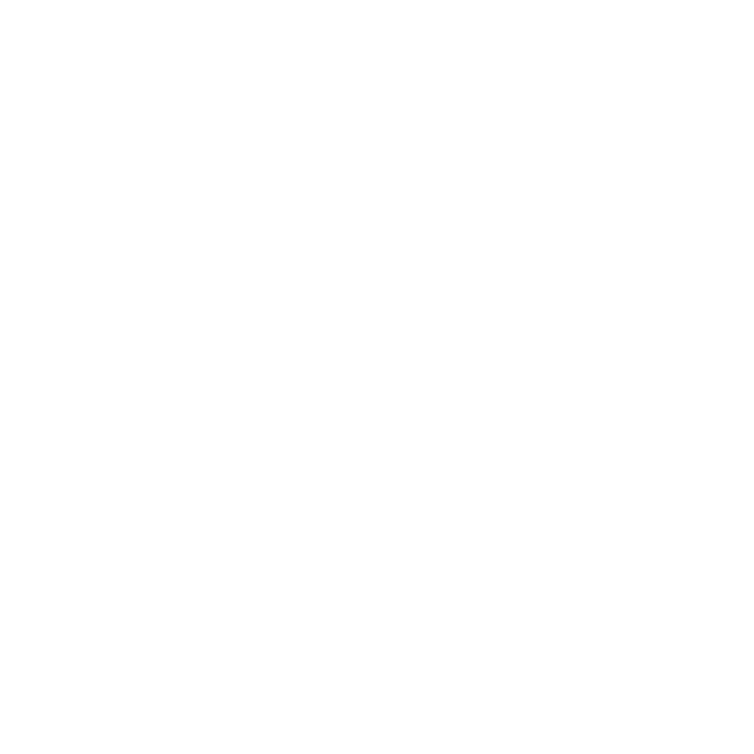 KariosV Intelligent Engineering Systems